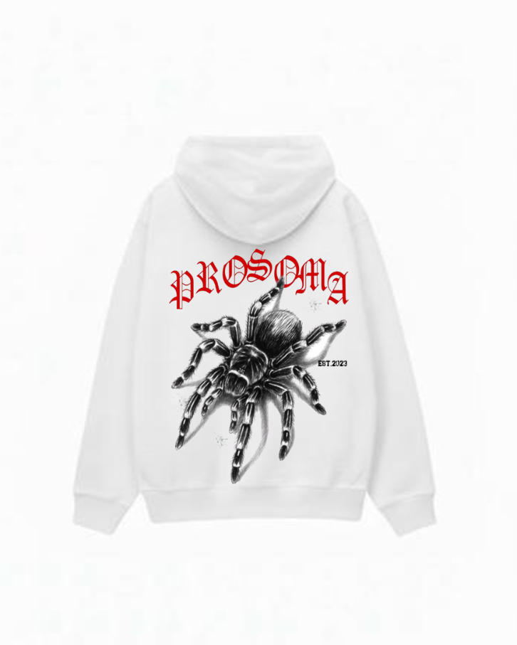 Spider hoodie
